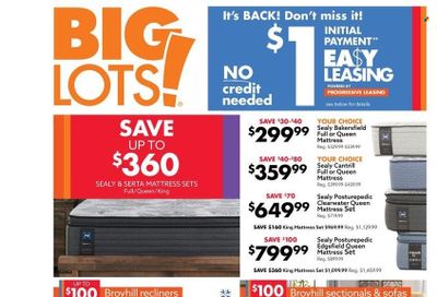 Big Lots Weekly Ad Flyer March 17 to March 24