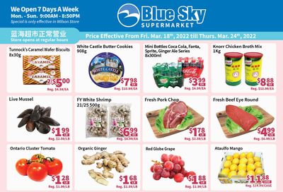 Blue Sky Supermarket (North York) Flyer March 18 to 24