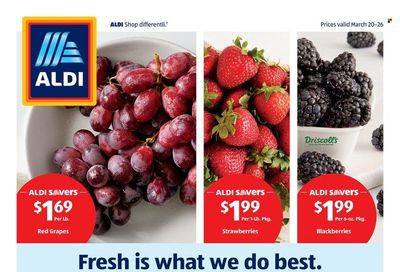 ALDI (MN, OH) Weekly Ad Flyer March 21 to March 28