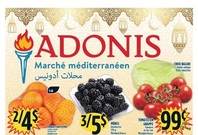 Marche Adonis (QC) Flyer March 24 to 30