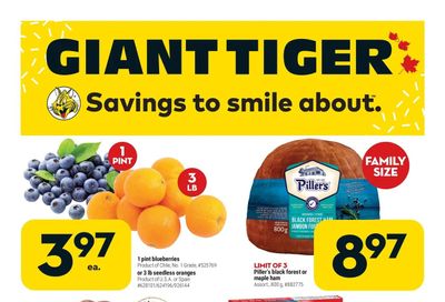 Giant Tiger (ON) Flyer March 23 to 29