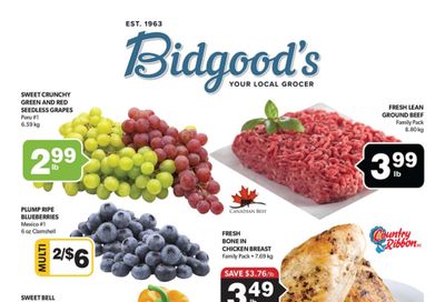 Bidgood's Flyer March 24 to 30