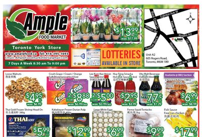 Ample Food Market (North York) Flyer March 25 to 31