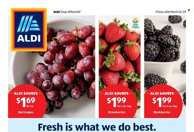 ALDI (GA, NC, SC) Weekly Ad Flyer March 25 to April 1