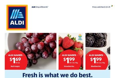 ALDI (FL) Weekly Ad Flyer March 25 to April 1