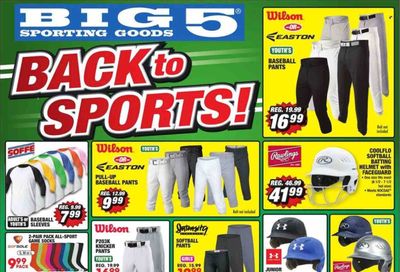 Big 5 (AZ, CA, CO, ID, NM, OR, UT, WA) Weekly Ad Flyer March 28 to April 4