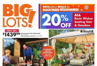 Big Lots Weekly Ad Flyer March 31 to April 7