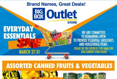 Big Box Outlet Store Flyer March 25 to 31