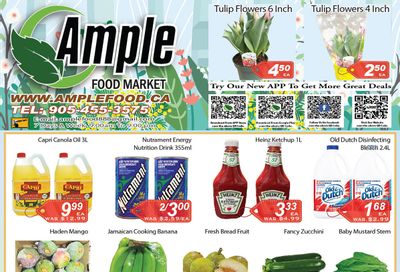 Ample Food Market (Brampton) Flyer April 8 to 14