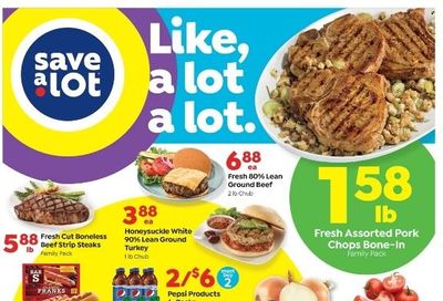 Save a Lot Weekly Ad Flyer April 21 to April 28