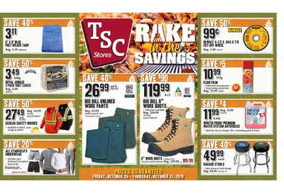TSC Stores Flyer October 25 to 31