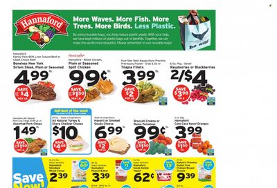 Hannaford (ME) Weekly Ad Flyer April 24 to May 1