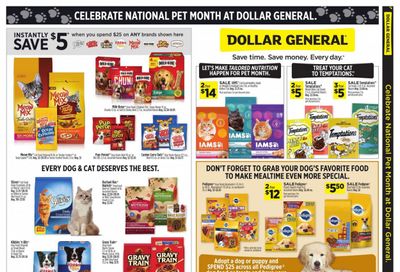 Dollar General Weekly Ad Flyer May 10 to May 17