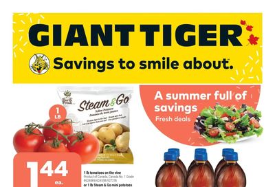 Giant Tiger (Atlantic) Flyer May 11 to 17