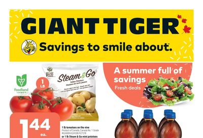 Giant Tiger (ON) Flyer May 11 to 17