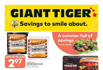 Giant Tiger (ON) Flyer May 25 to 31
