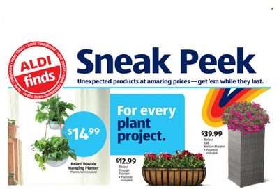 ALDI Weekly Ad Flyer May 29 to June 5