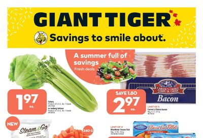 Giant Tiger (Atlantic) Flyer June 1 to 7