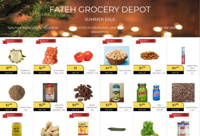 Fateh Grocery Depot Flyer June 2 to 8