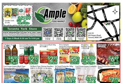 Ample Food Market (North York) Flyer June 3 to 9