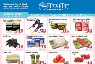 Blue Sky Supermarket (North York) Flyer June 3 to 9