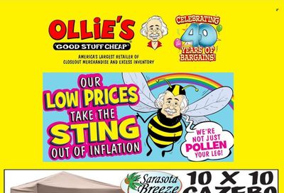 Ollie's Bargain Outlet Weekly Ad Flyer June 6 to June 13
