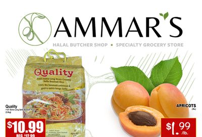 Ammar's Halal Meats Flyer June 2 to 8
