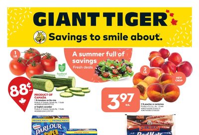 Giant Tiger (ON) Flyer June 8 to 14
