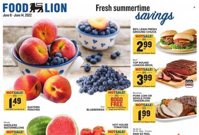 Food Lion (VA) Weekly Ad Flyer June 9 to June 16