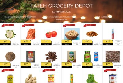 Fateh Grocery Depot Flyer June 9 to 15