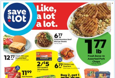 Save a Lot Weekly Ad Flyer June 9 to June 16