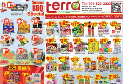 Terra Foodmart Flyer June 10 to 16