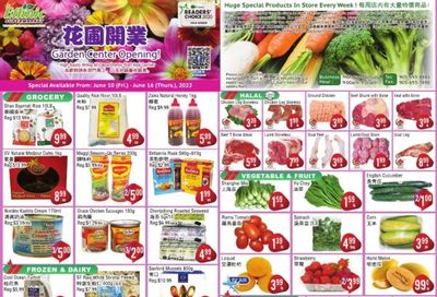 Ethnic Supermarket (Milton) Flyer June 10 to 16