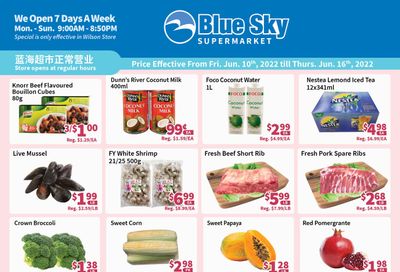 Blue Sky Supermarket (North York) Flyer June 10 to 16