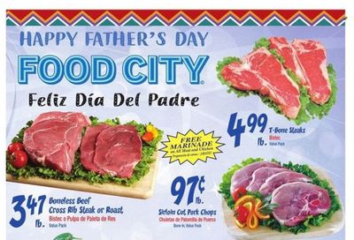 Food City (GA, TN, VA) Weekly Ad Flyer June 14 to June 21