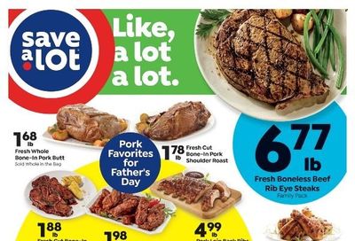 Save a Lot Weekly Ad Flyer June 15 to June 22