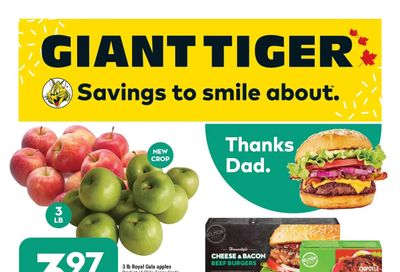 Giant Tiger (ON) Flyer June 15 to 21