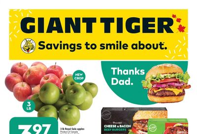 Giant Tiger (Atlantic) Flyer June 15 to 21