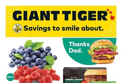 Giant Tiger (West) Flyer June 15 to 21