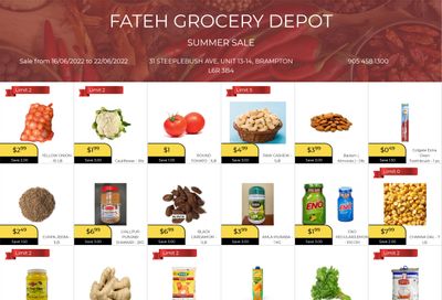 Fateh Grocery Depot Flyer June 16 to 22