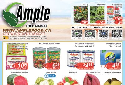 Ample Food Market (North York) Flyer June 17 to 23