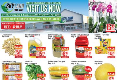 Skyland Food Mart Flyer June 17 to 23