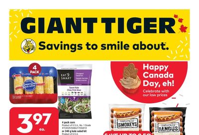 Giant Tiger (Atlantic) Flyer June 22 to 28