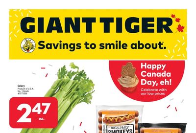 Giant Tiger (West) Flyer June 22 to 28