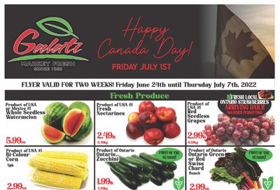 Galati Market Fresh Flyer June 24 to July 7