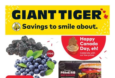 Giant Tiger (Atlantic) Flyer June 29 to July 5
