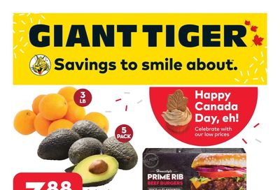 Giant Tiger (West) Flyer June 29 to July 5