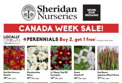 Sheridan Nurseries Flyer June 30 to July 6