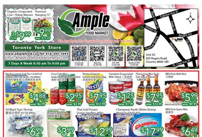 Ample Food Market (North York) Flyer July 1 to 7