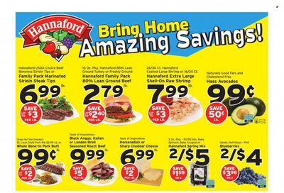 Hannaford (VT) Weekly Ad Flyer July 4 to July 11